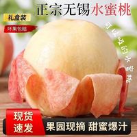 百亿补贴：雅翁 YAON 雅翁 无锡水蜜桃 4.2斤 彩箱