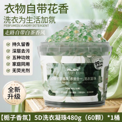 Algn 5D栀子花植萃多效合一洗衣凝珠 480g*60颗 栀子花香氛
