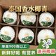 蒂莱纳果园 泰国进口椰青 6粒 大果 新鲜奶香椰子