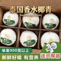 蒂莱纳果园 泰国进口椰青 6粒 大果 新鲜奶香椰子