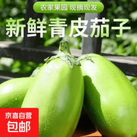 京喜自营-专用品牌 新鲜现摘青茄子农家自种绿皮长茄子当季时令生鲜蔬菜炒菜凉拌食材 河南青茄子 5斤 净重
