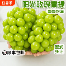 无品牌 湖北 阳光玫瑰青提葡萄 4.5斤
