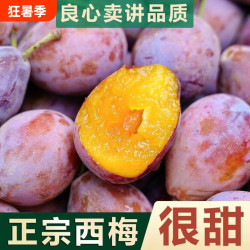 良果谷 新鲜高山西梅水果应季孕妇水果时令鲜果酸甜多汁果园速发现摘整箱