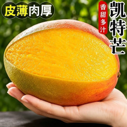 凯特芒果 净重4.25斤 单果600g+