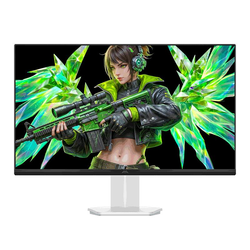 雷鸟 Q5AD 27英寸 300Hz Fast-IPS 显示器