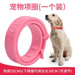 养只宠物 狗用项圈（1个装）