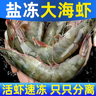 东上御品 青岛大虾 单只14-16cm 3斤 生鲜对虾