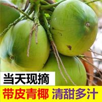 正宗海南椰子新鲜奶香椰海南特产纯天然带皮椰青孕妇水果汁水多31