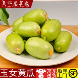 美邻惠享家 玉女黄瓜 新鲜蔬菜