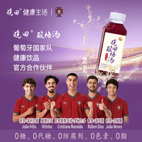 晓田 桑葚酸梅汤 0代糖 365ml*16瓶