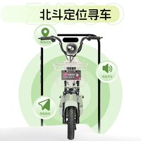 五星钻豹 A40 48V12AH 新国标电动自行车