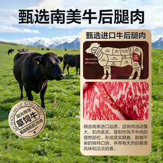 良品铺子 高蛋白牛肉脆片 安格斯22g*6袋+南美23g*4袋 混合装