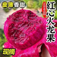 移动端:果小恩 海南金都一号红心火龙果新鲜5斤整箱大果当季应季新鲜水果包邮