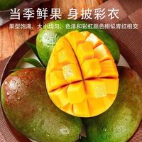 京觅 攀枝花凯特芒果 净重8斤单果500g+源头直发包邮