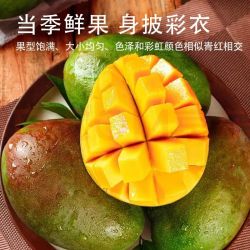 京觅 攀枝花凯特芒果 净重8斤单果500g+源头直发包邮