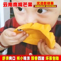 滇老头 正宗云南鹰嘴芒黄皮芒果套袋甜心新鲜热带水果套袋3-8斤整箱包邮