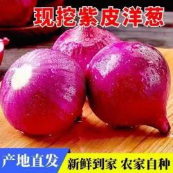 京喜 农家自产 紫皮洋葱 1斤 100-500g/个