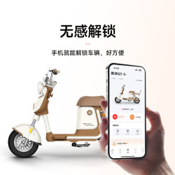雅迪 Q3 电动自行车