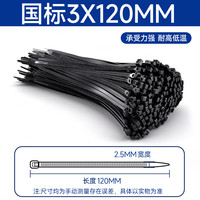 天优 尼龙扎带大号户外防晒抗UV黑色扎带电脑走线耐脏宽2.5mm长120mm黑色-100根