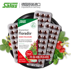 Floradix 莎露斯铁元红铁片叶酸片84粒*2盒