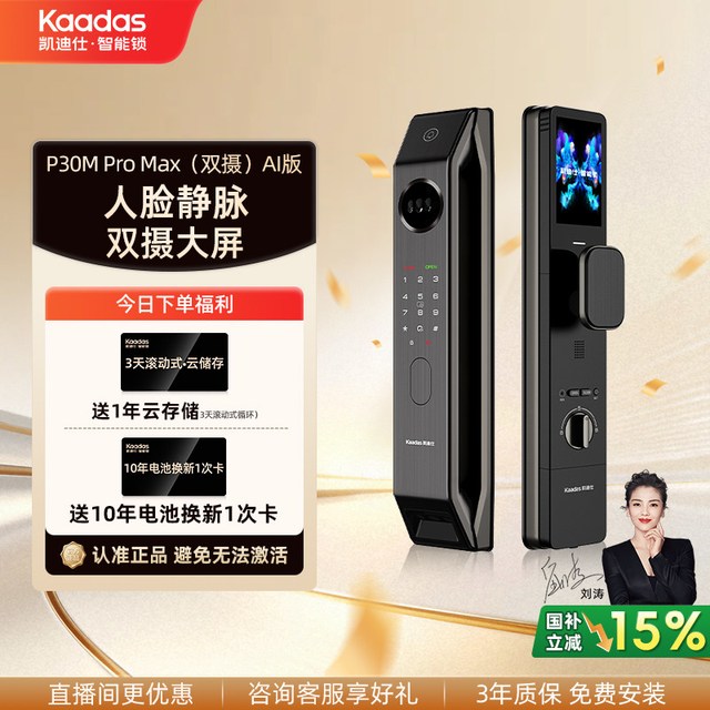 凯迪仕 P30m Pro Max双摄 AI版 人脸掌静脉识别智能门锁