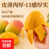 攀枝花 凯特芒 10斤净重9.5斤单果400g