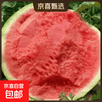 精品麒麟有籽西瓜 脆甜多汁 产地现摘 新鲜直发 坏果包赔 5-10斤（越大越甜） 7-8斤（2-3人）
