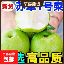 京喜加 2026年新梨青皮砀山酥脆梨子果肉细腻翠玉翠冠当季时令新鲜水果 单果200g+ 带箱5斤青梨（净重4.5斤）