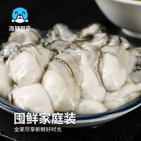 海鲜世家 冷冻生蚝肉 净重800g 50-70只/袋
