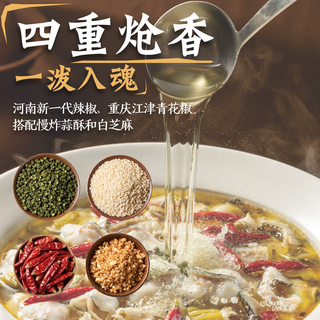 太二 经典金汤酸菜鱼预制菜 515g