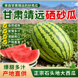 A3甘肃靖远石头瓜 现摘硒砂瓜一个瓜净重 10-12斤