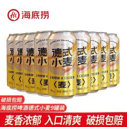 海底捞 百亿补贴：海底捞 精酿 小麦啤酒