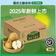 香梨 9粒大果（净重5-6斤）单果80+mm