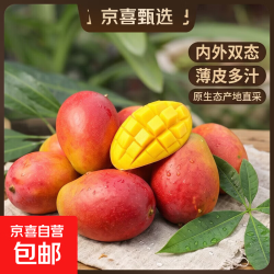 京喜 正宗四川薄皮凯特芒果 1斤装单果200g+
