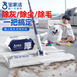 BOOMJOY 静电除尘纸拖把试用装 试用静电拖把+1包除尘干巾