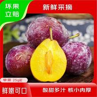 元珍鲜诚 正宗西梅当季新鲜水果现摘新疆法兰西脆甜李子大果 优选大果含箱5斤净重4.5斤单果22克+