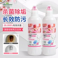 绿岛 洁厕灵洁厕液500g 马桶清洁剂洁厕剂卫生间除臭垢厕所杀菌去异味