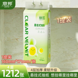 丽邦 抽纸 悬挂式青绒丝柔纸巾 加厚4层家用底部抽纸 专享 4层