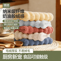锡洁 抹布奶椰绒厨房洗碗巾吸水清洁布30*30cm5片百洁布车用毛巾擦手巾