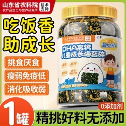 优卓 海苔碎拌饭肉松紫菜 300g 罐装