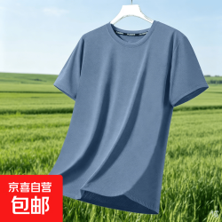 京喜 夏新款冰丝超薄圆领短袖衫男士百搭运动透气夏季凉爽休闲坎肩T恤 雾蓝色 3XL