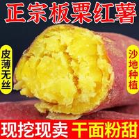 粤迎 板栗红薯当季现挖沙地蜜薯糖心地瓜广西番薯5斤精选果净4.5斤