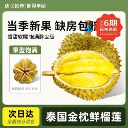 鲜级佳 泰国新鲜榴莲老树果新鲜整个带壳榴莲热带水果 金枕榴莲2-3斤1个装丨 金枕榴莲2.3-3.3斤1个装丨