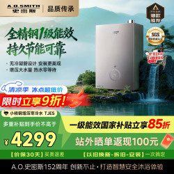 A.O.SMITH JSLQ28-TJE5 一级能效零冷水 16L 天然气 燃气热水器