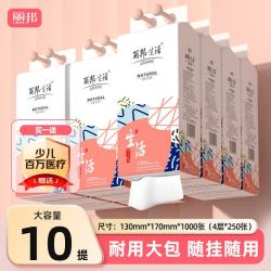 丽邦 悬挂式抽纸 4层1000抽10包(170*130mm)