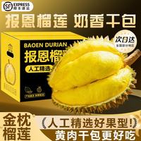 鲁道鲜 金枕榴莲 泰国 鲜果 整个带壳 2斤起