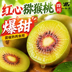 今鲜果 四川 红心猕猴桃 50g+/个 30个