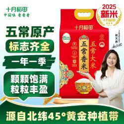 十月稻田 新米 大米  5kg*1袋 袋装 5kg