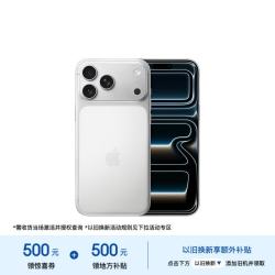 Apple iPhone 17 Pro Max 5G手机 256GB 银色