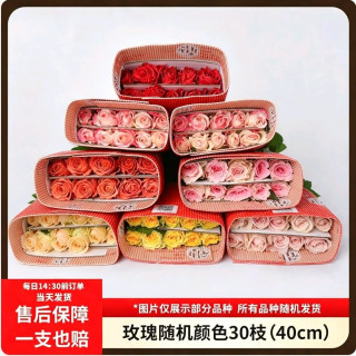 京东鲜花 玫瑰花 随机颜色30枝(2-3种颜色)40cm鲜切花